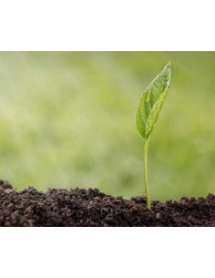 Curso ISO 14001:2015