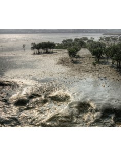 Curso Nueva Ley Residuos y Suelos Contaminados