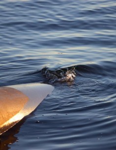 Curso Vertidos Aguas Residuales