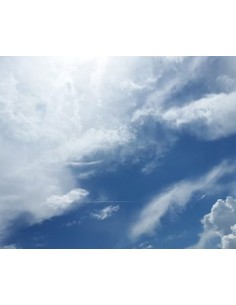 Curso de contaminación atmosférica para actividades...